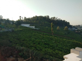 Ooty hills inn